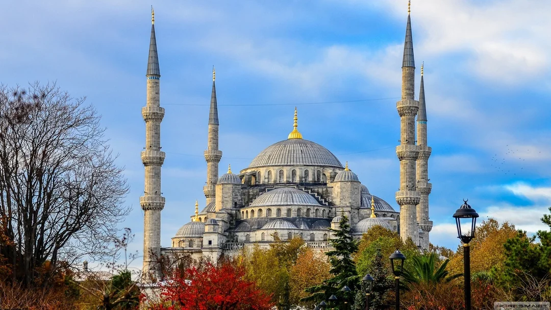 Border and Bridges study in Turkey support for universities admissions and scholarships
